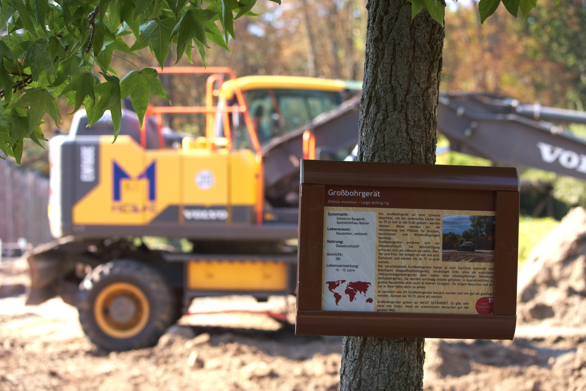 Ein Schild für ein Großbohrgerät (Bohrus maximus - Large drilling rig) im Format eines Infoschildes an Tiergehegen hängt vor einem Gehege, das gerade umgebaut wird. Im Hintergrund ist unscharf ein Bagger zu sehen.