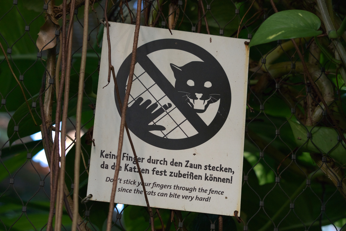 Ein Schild: Keine Finger durch den Zaun stecken, da die Katzen fest zubeißen können!