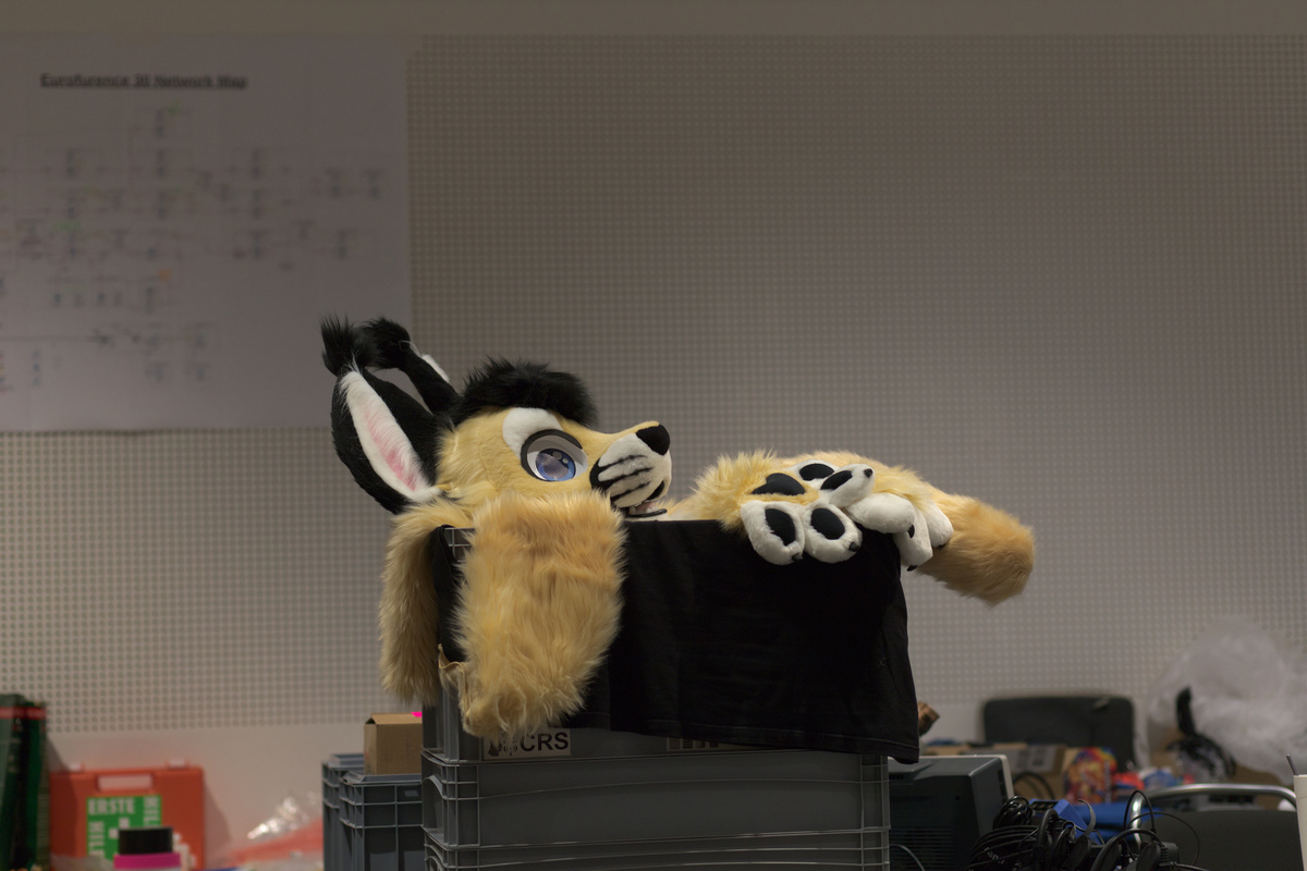 Different parts of a caracal fursuit are laying on top of some Euroboxes and there's an unsharp Eurofurence 30 Network Map in the background