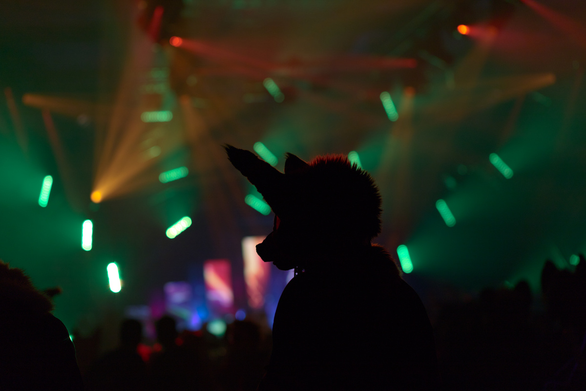 A fursuiter in front of the stage looks to the left side. Their head is only illuminated by stage lighting in the back, so only their profile is visible.