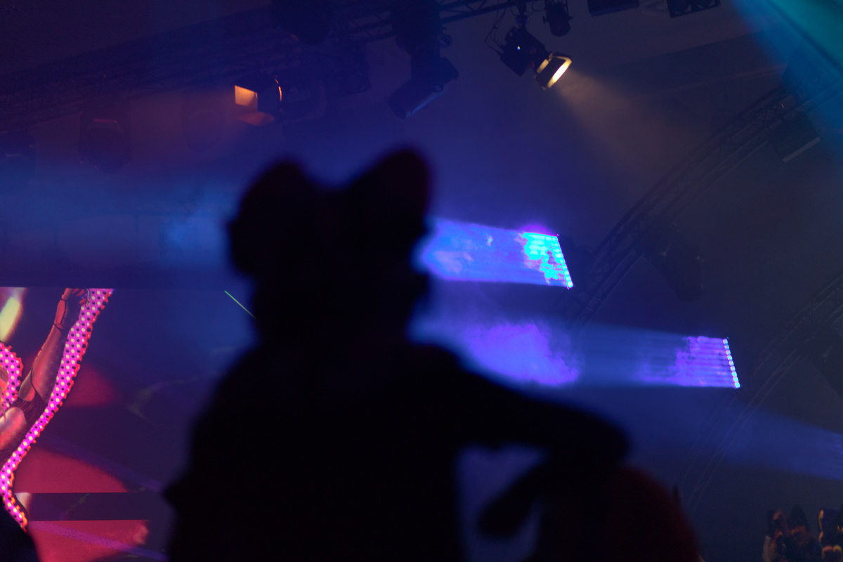 Another fursuiter, this time their profile is out of focus resulting in a fuzzy black animal shape in front of some blue light and parts of a video wall.